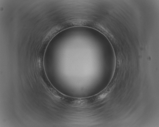 X0000073950117200608211150