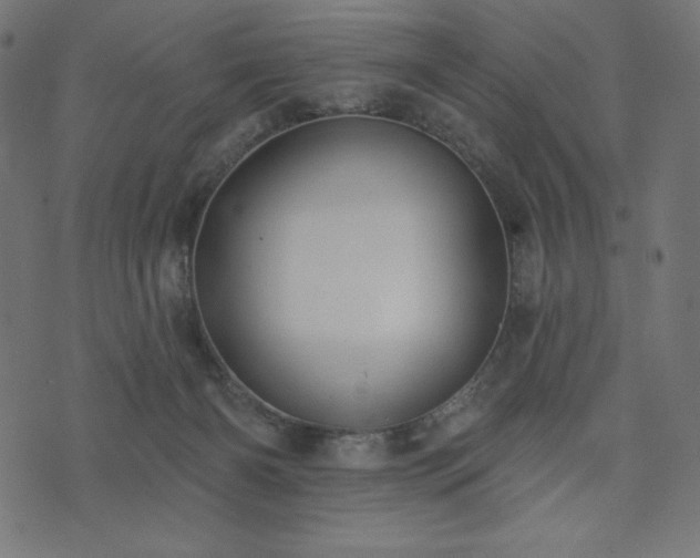X0000073950126200608211150