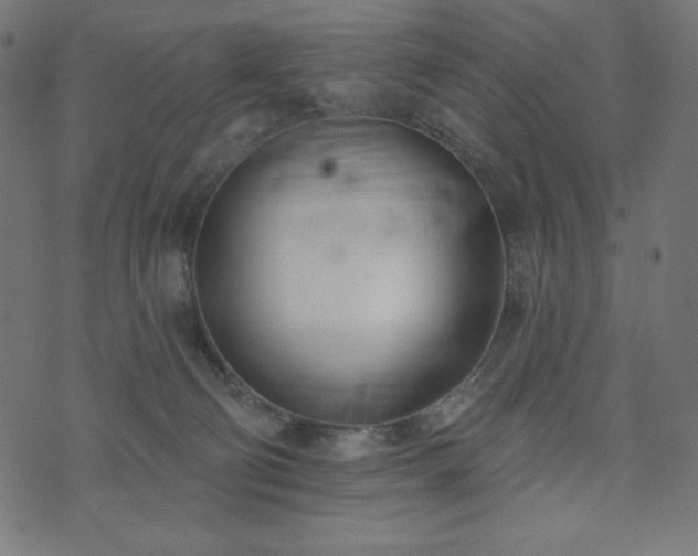 X0000073950130200608211149