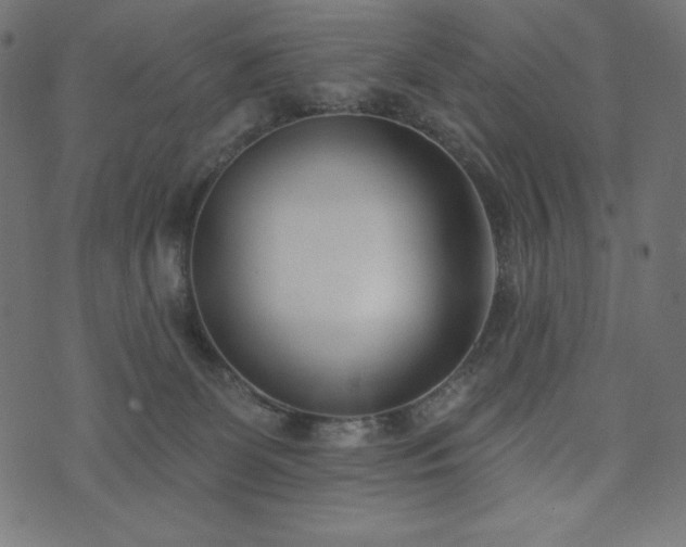 X0000073950131200608211149