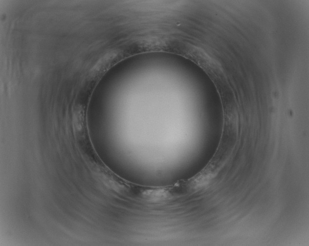 X0000073950133200608211149