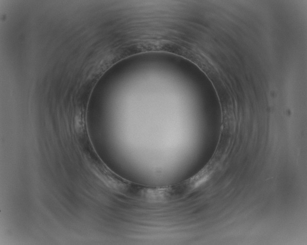 X0000073950134200608211149