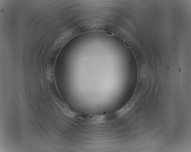 X0000073950138200608211149