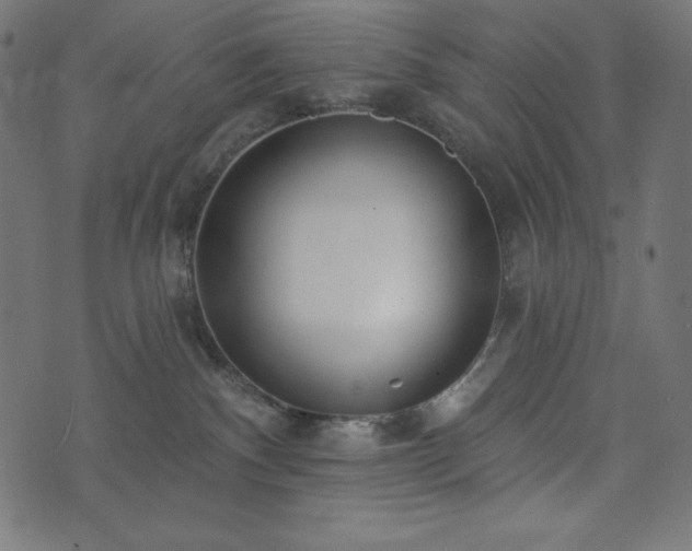 X0000073950140200608211149