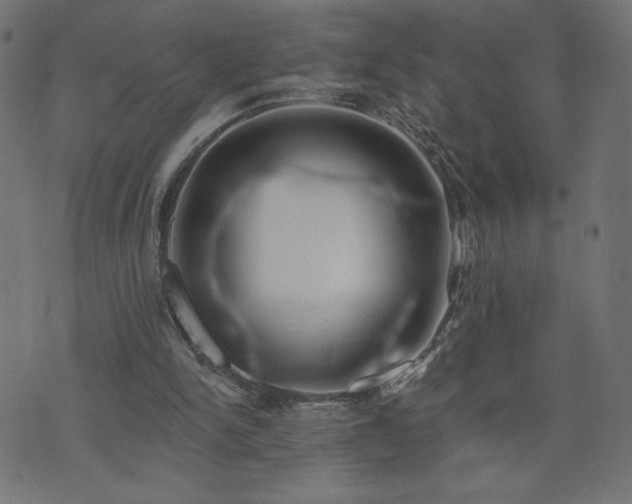 X0000073950150200608211149