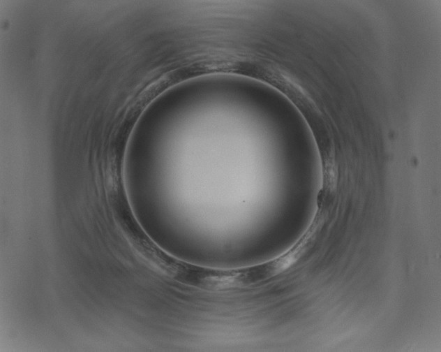 X0000073950170200608211149
