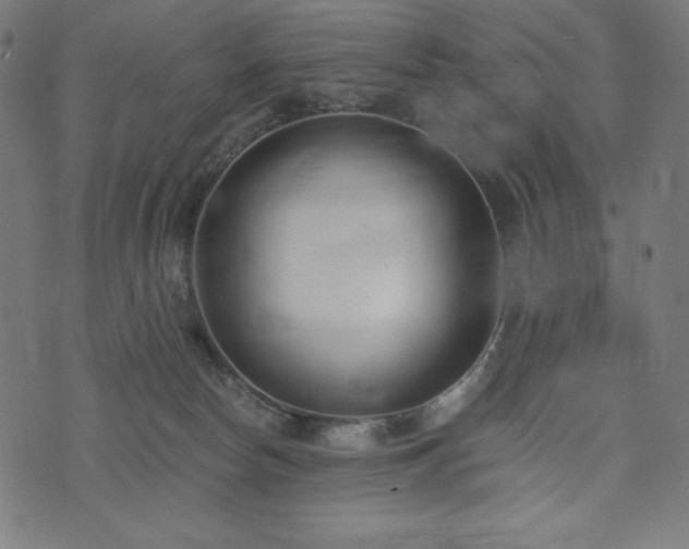 X0000073950178200608211149