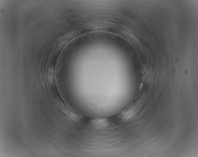 X0000073950189200608211149