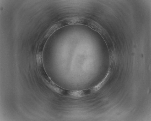 X0000073950191200608211149