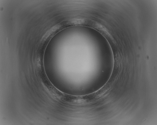 X0000073950212200608211148