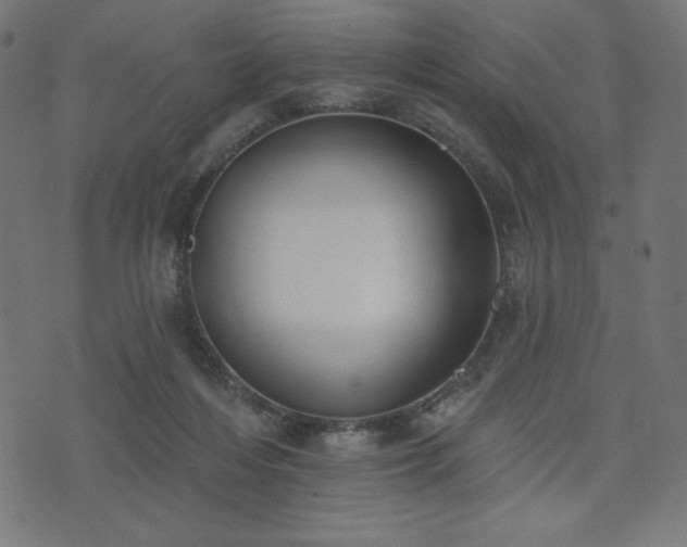 X0000073950216200608211148