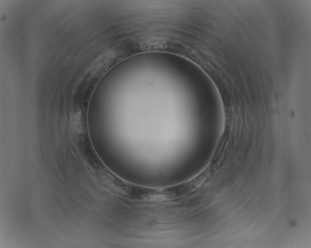 X0000073950224200608211148