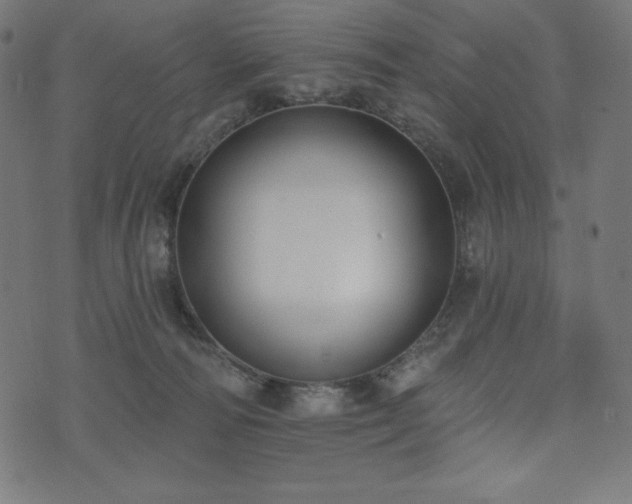 X0000073950226200608211148