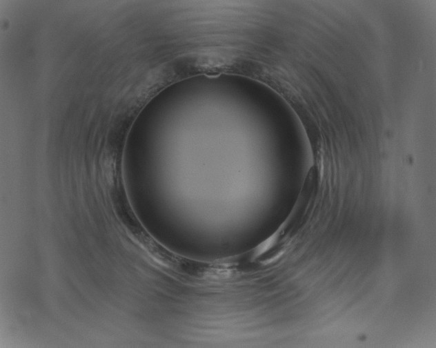 X0000073950227200608211148