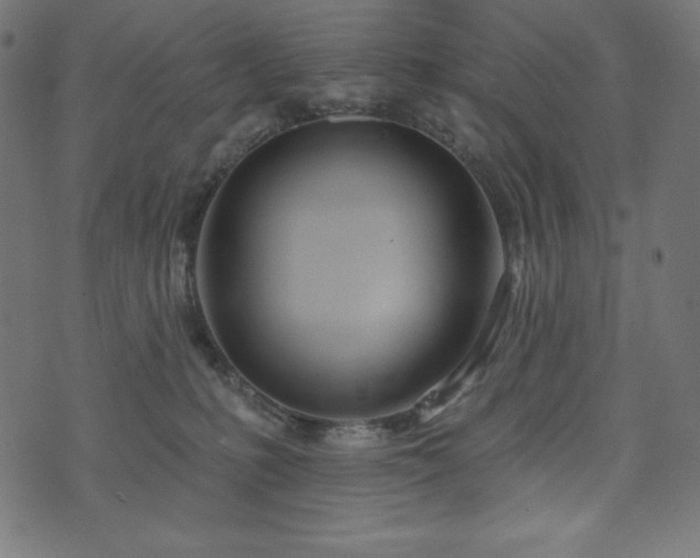 X0000073950231200608211148