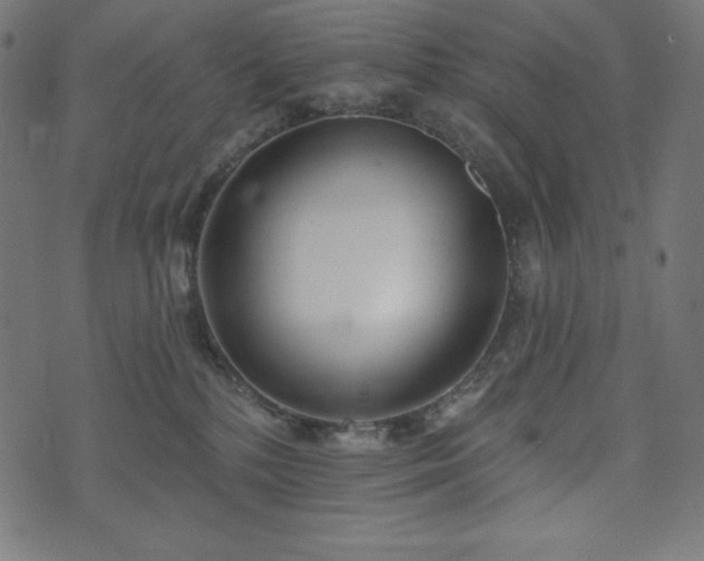X0000073950232200608211148