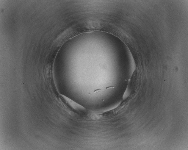 X0000073950233200608211148