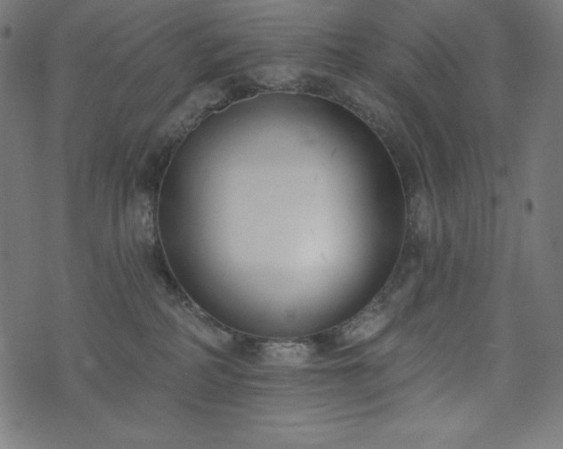 X0000073950234200608211148