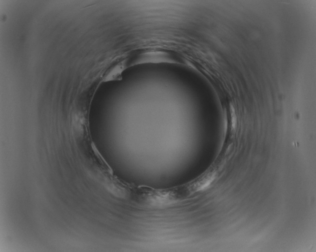 X0000073950235200608211148
