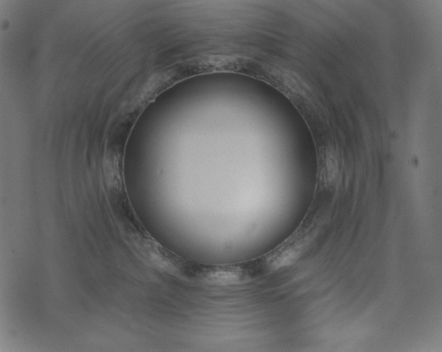 X0000073950236200608211148