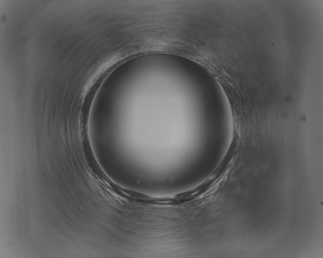 X0000073950244200608211147