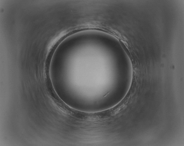 X0000073950248200608211147