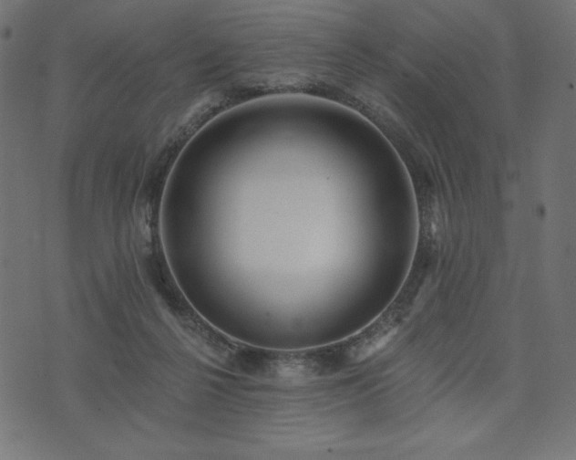 X0000073950264200608211147