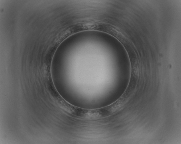 X0000073950270200608211147