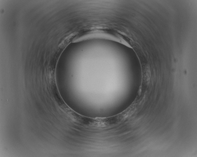 X0000073950276200608211147
