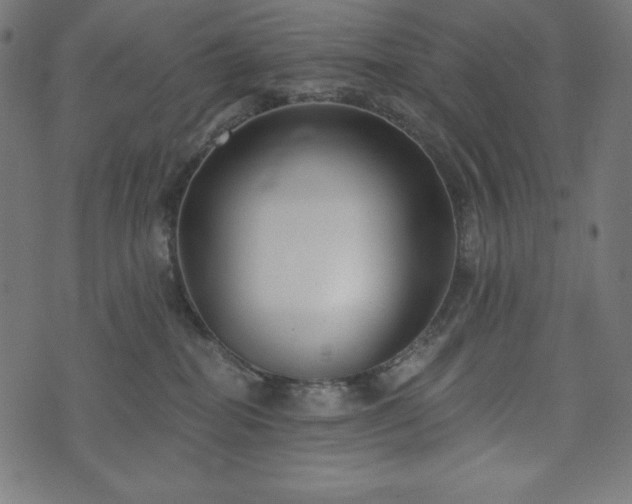 X0000073950282200608211148