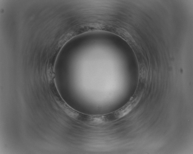 X0000073950285200608211148