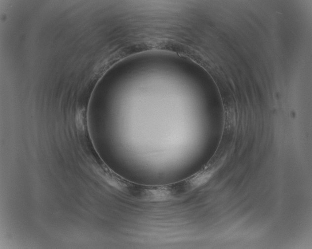 X0000073950286200608211148