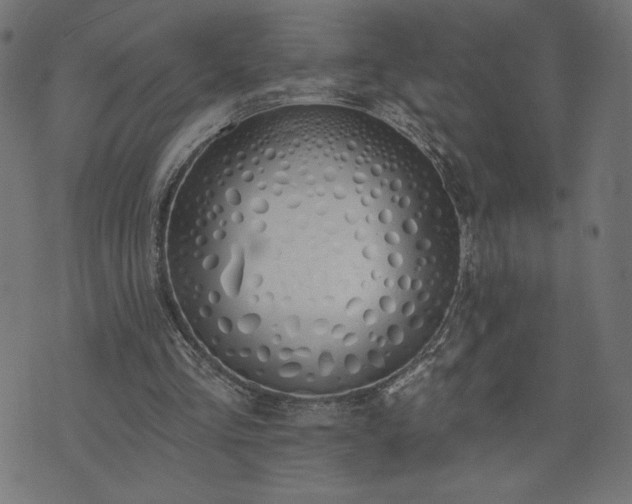 X0000073950293200608211147