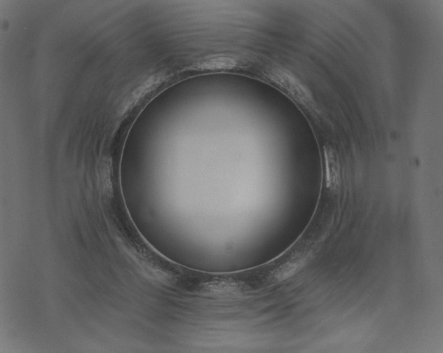 X0000073950300200608211147
