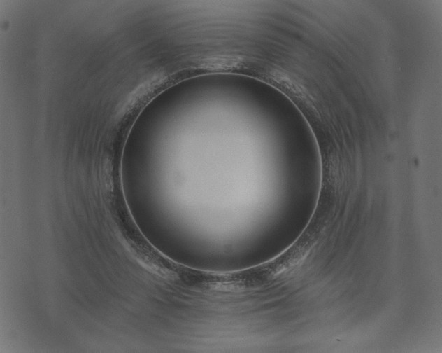 X0000073950303200608211147