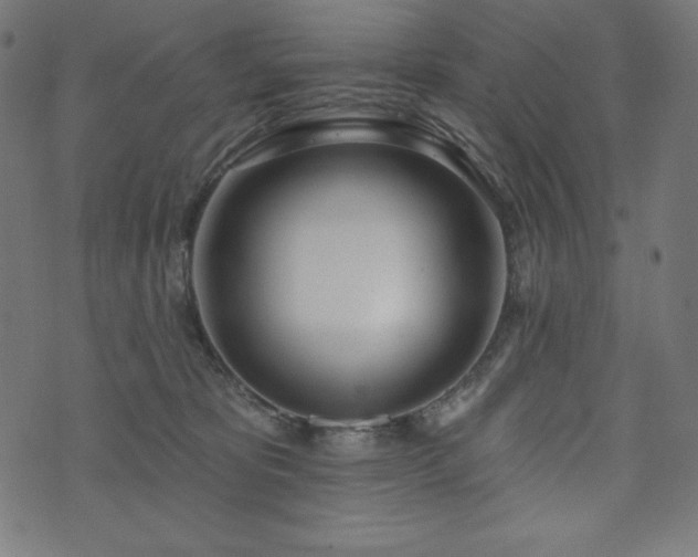 X0000073950325200608211146