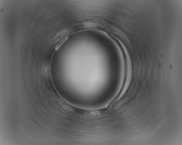 X0000073950329200608211146