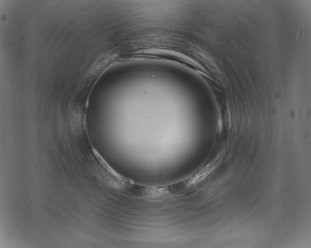 X0000073950333200608211146