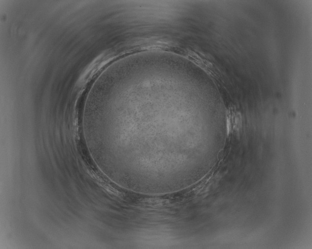 X0000073950339200608211145
