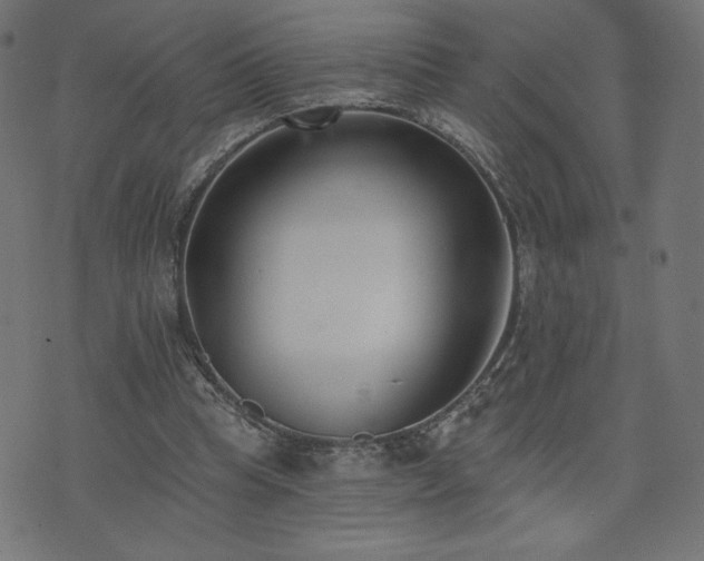 X0000073950345200608211145