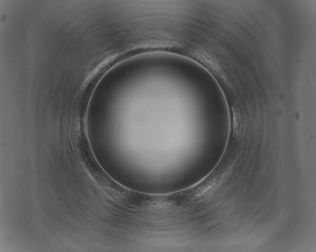 X0000073950348200608211146