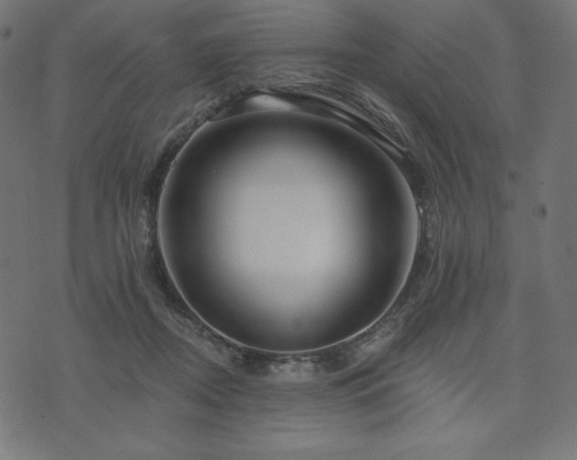 X0000073950362200608211146