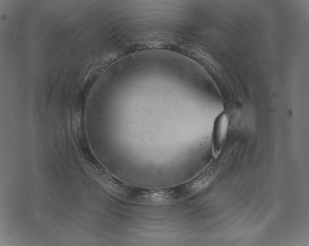 X0000073950365200608211146