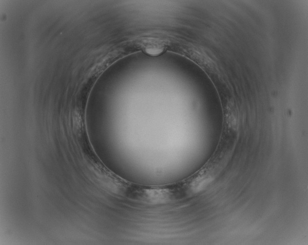 X0000073950371200608211146