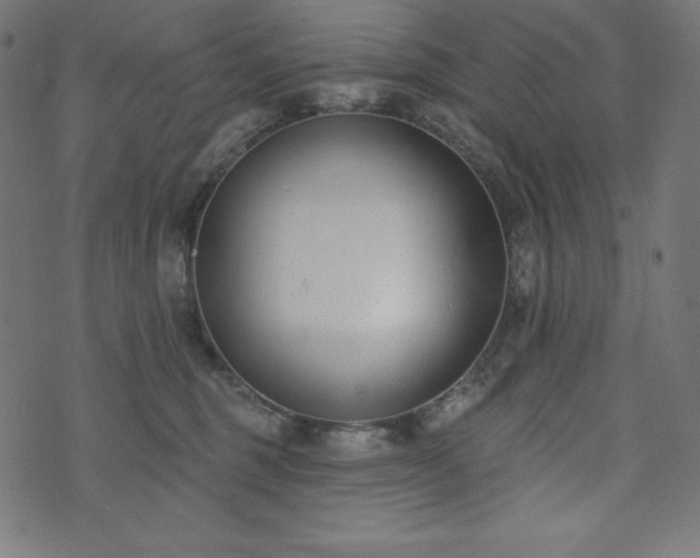 X0000073950375200608211146