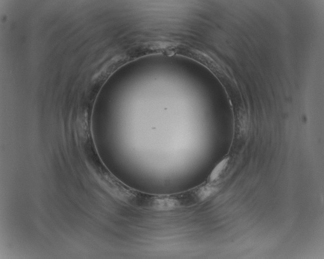 X0000073950376200608211146