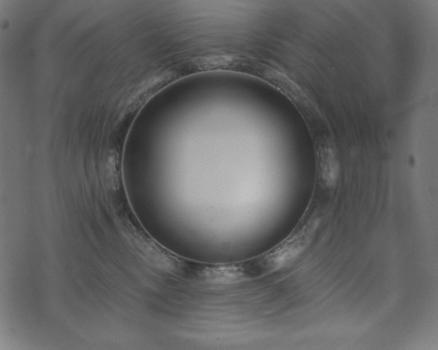 X0000073950378200608211146
