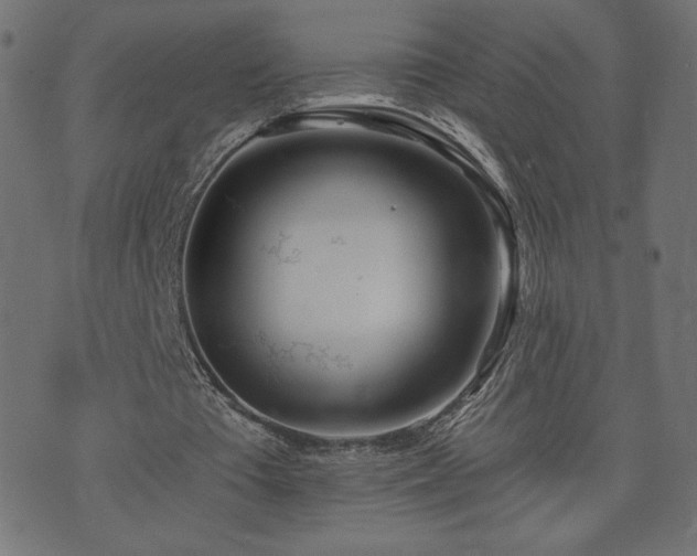 X0000073950385200608211145