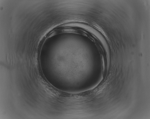 X0000073950387200608211145