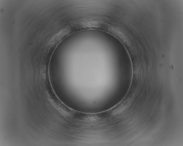 X0000073950402200608211145